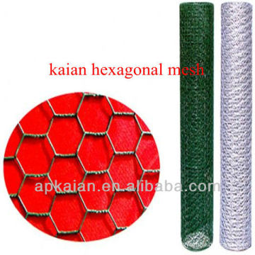 hot sale!!!!! anping KAIAN 3'' hexagonal wire mesh for animal cage(30 years factory)